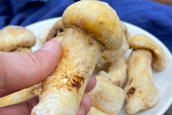 冰凍松茸解凍的兩種方法
