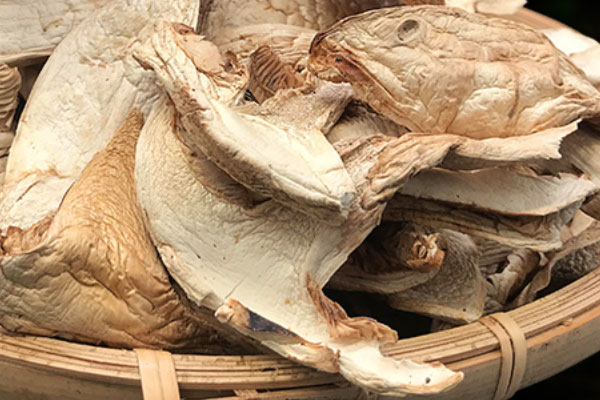 泡了一晚的干松茸有毒嗎