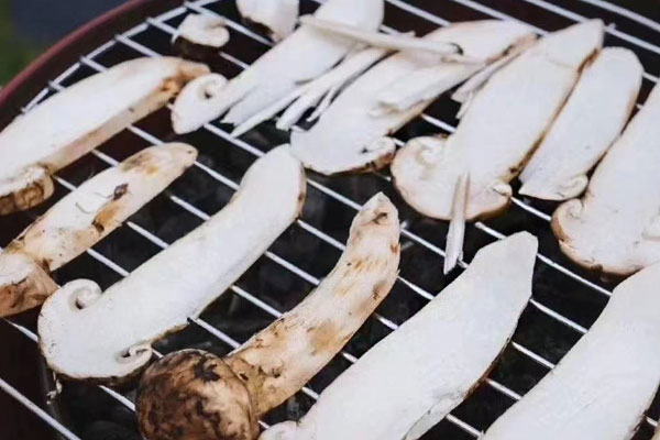 松茸變紫色還可以吃嗎 松茸變紫色還可以吃嗎