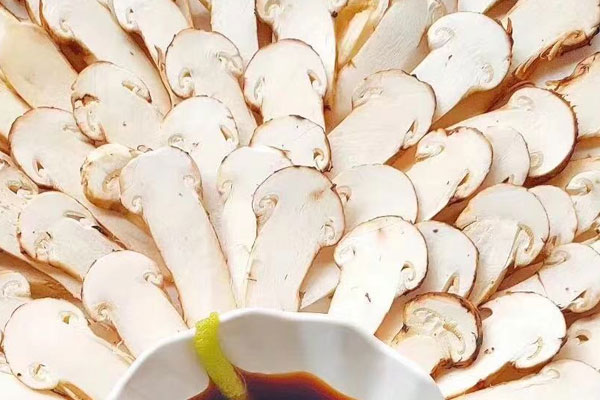 備孕期間可以吃松茸嗎 備孕期間可以吃松茸嗎
