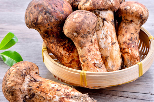 松茸菌對眼睛好嗎，長期吃松茸的好處