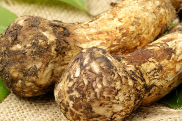 長(zhǎng)期吃松茸有哪些好處 長(zhǎng)期吃松茸有哪些好處