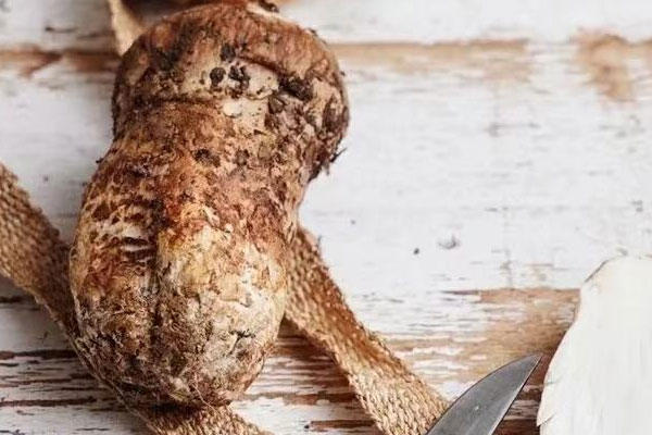 松茸白蛤檸檬湯的功效作用 松茸白蛤檸檬湯的功效作用