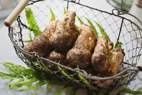 松茸帽和松茸根哪個有營養(yǎng)，人工松茸和野生松茸的區(qū)別