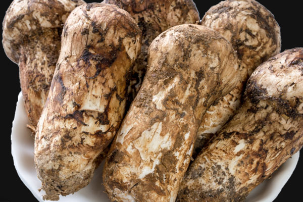 松茸怎樣吃降血糖，松茸能降血脂嗎