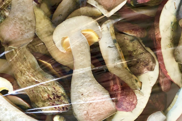 云南人眼中的蘑菇是什么