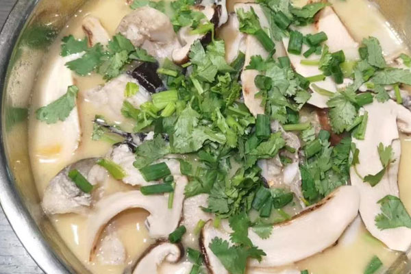 松茸煮鮰魚的做法，有哪些功效作用