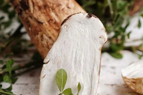 松茸煮鮰魚(yú)的食用禁忌 松茸煮鮰魚(yú)的食用禁忌