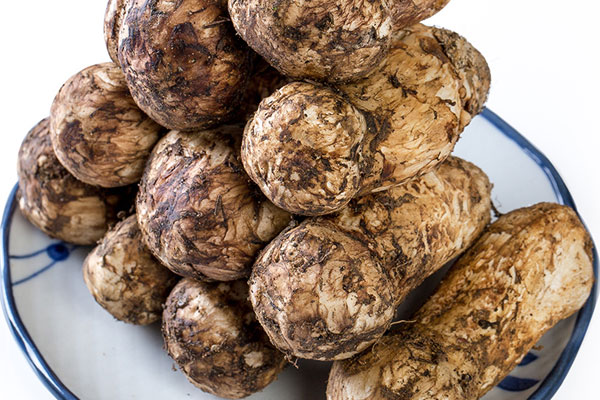 一斤松茸可以吃幾餐 一斤松茸可以吃幾餐