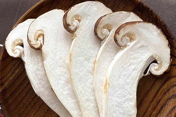 最早的松茸誕生哪里 最早的松茸誕生哪里