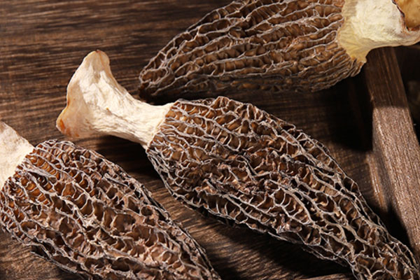 干羊肚菌放冷藏還是冷凍，羊肚菌哪些人不宜吃