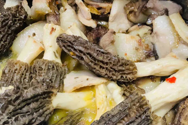 什么人不宜吃羊肚菌 什么人不宜吃羊肚菌