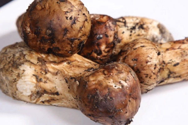 新鮮松茸中間發(fā)黑是不是壞了 新鮮松茸中間發(fā)黑是不是壞了