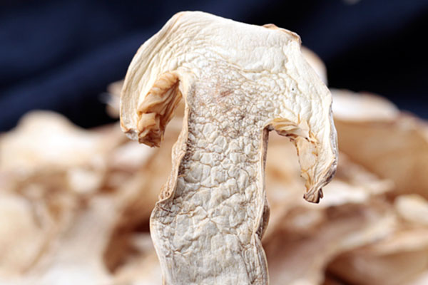 干松茸怎么吃最營養(yǎng)