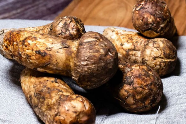 松茸磨粉后可以直接沖水喝嗎 松茸磨粉后可以直接沖水喝嗎