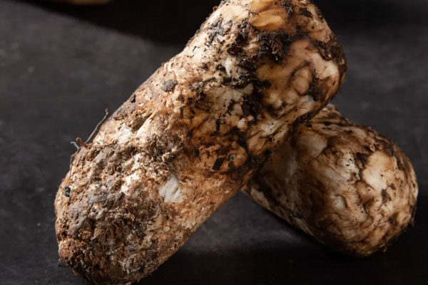 松茸傘柄是灰色的還能吃嗎，松茸頭上有一層黏黏的是什么