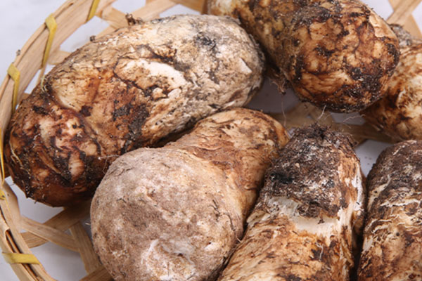 松茸茶貴不貴 松茸茶貴不貴