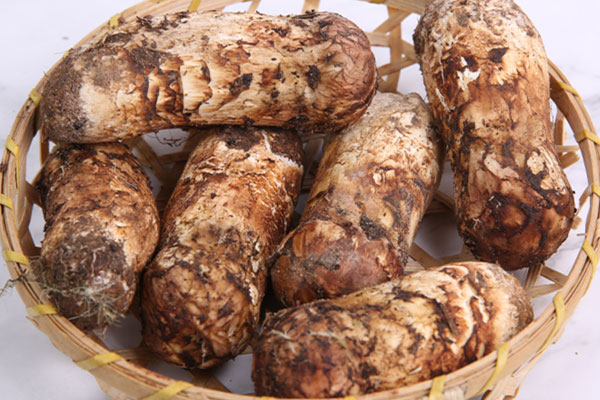 出月子可以吃松茸嗎 出月子可以吃松茸嗎