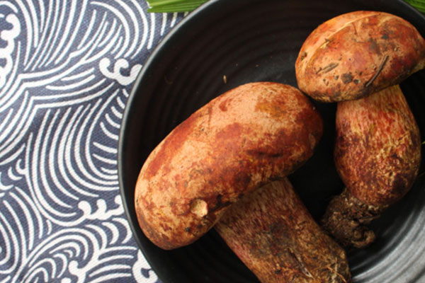 吃不完的牛肝菌怎么保存，牛肝菌的傘下面要去掉嗎