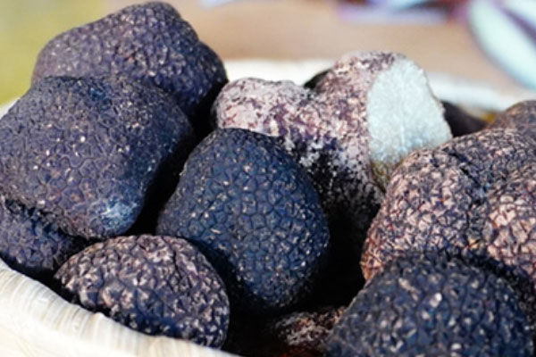 黑松露配雪花牛肉的營(yíng)養(yǎng)價(jià)值 黑松露配雪花牛肉的營(yíng)養(yǎng)價(jià)值