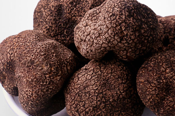 松露是生長(zhǎng)在土里嗎 松露是生長(zhǎng)在土里嗎