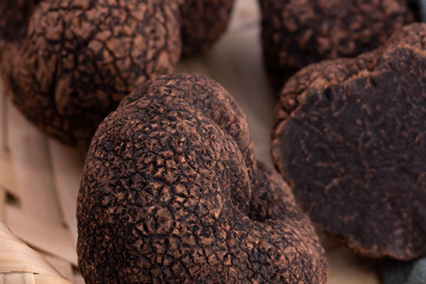 黑松露適合哪些人吃 黑松露適合哪些人吃