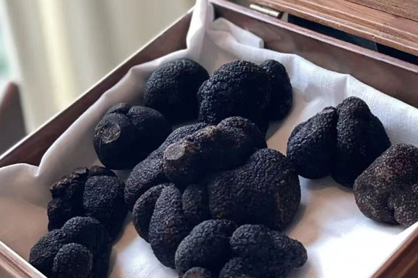 松露難不難吃 松露難不難吃