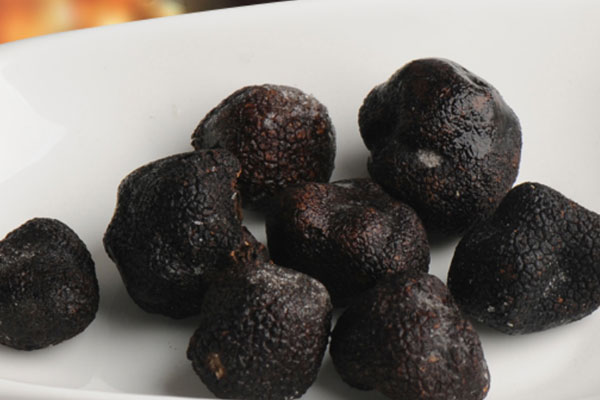 云南黑松露為什么便宜，云南的黑松露哪個產(chǎn)地最好