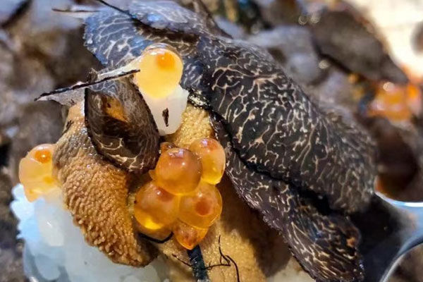新鮮黑松露的香味 新鮮黑松露的香味
