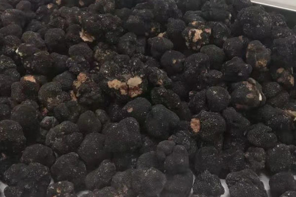 黑松露奶油帶子意面的食用禁忌 黑松露奶油帶子意面的食用禁忌