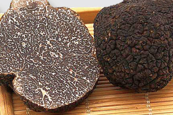 黑松露雞油菌雞湯的食用禁忌 黑松露雞油菌雞湯的食用禁忌