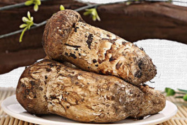 松茸青瓜刺身要焯水嗎 松茸青瓜刺身要焯水嗎