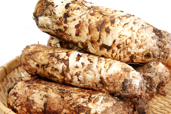 咳嗽可以吃松茸菇嗎，風熱感冒者可以喝鮮松茸湯嗎