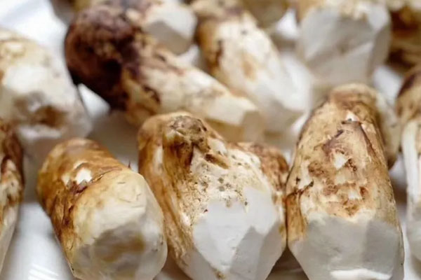 嗓子發(fā)炎能吃松茸嗎，尿酸高能吃松茸嗎