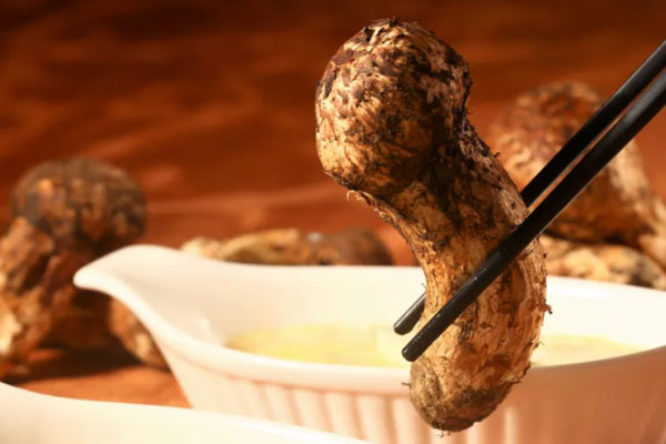 尿路感染可以吃松茸嗎，頭痛可以吃松茸嗎