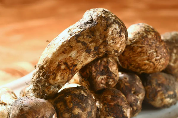 松茸燉羊肉的功效作用，松茸算不算高檔菜