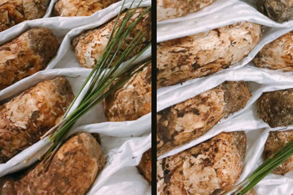 做透析的人可以吃松茸嗎