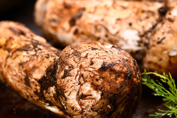 腎不好的人可以吃松茸嗎，腎移植后可以吃松茸嗎