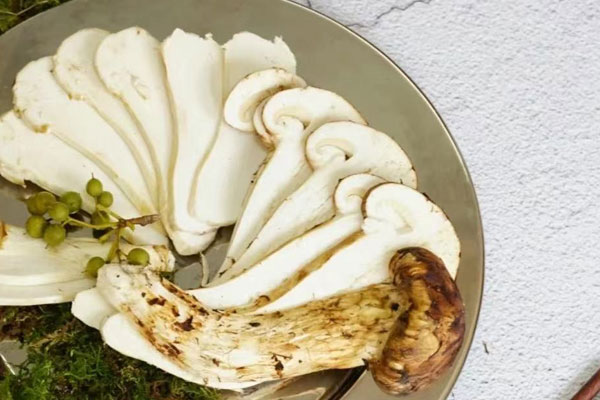 松茸不新鮮吃了會(huì)不會(huì)中毒 松茸不新鮮吃了會(huì)不會(huì)中毒