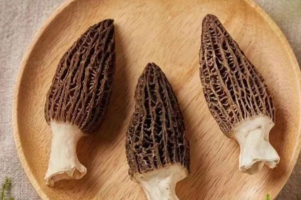 羊肚菌元貝陳皮湯的營養(yǎng)價值 羊肚菌元貝陳皮湯的營養(yǎng)價值