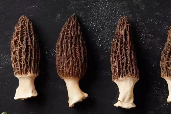 羊肚菌元貝陳皮湯的食用禁忌 羊肚菌元貝陳皮湯的食用禁忌