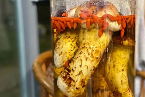 松茸枸杞泡酒的做法，松茸泡酒泡多長(zhǎng)時(shí)間最好