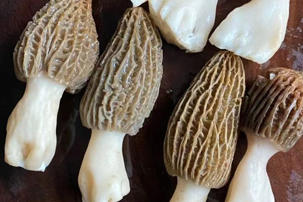 羊肚菌無(wú)花果太子參湯的食用禁忌 羊肚菌無(wú)花果太子參湯的食用禁忌