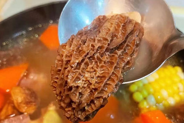 子宮肌瘤可以吃羊肚菌湯嗎，孕婦能吃羊肚菌湯嗎