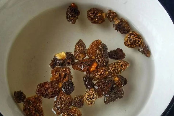 羊肚菌牛肉滑湯的食用禁忌 羊肚菌牛肉滑湯的食用禁忌