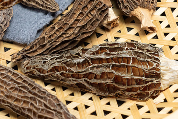 羊肚菌是發(fā)物嗎，羊肚菌脹氣嗎