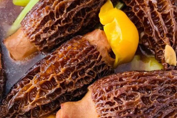 種植的羊肚菌有營養(yǎng)嗎 種植的羊肚菌有營養(yǎng)嗎