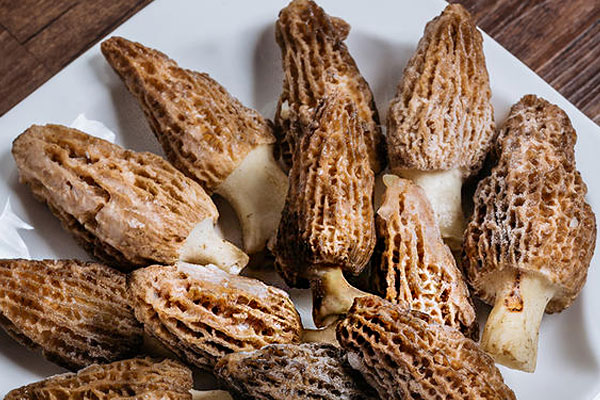 羊肚菌爆炒茭白的營(yíng)養(yǎng)價(jià)值 羊肚菌爆炒茭白的營(yíng)養(yǎng)價(jià)值