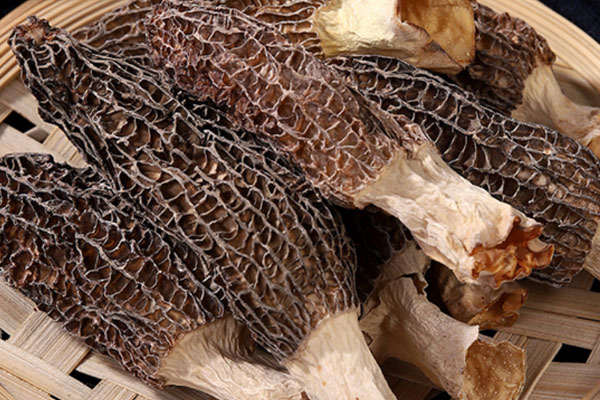 羊肚菌干貝花菇湯的食用禁忌 羊肚菌干貝花菇湯的食用禁忌