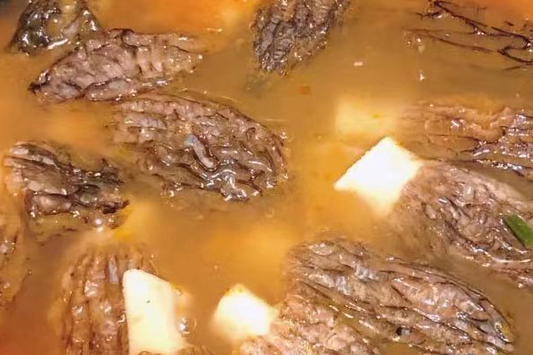 羊肚菌番茄湯的功效作用 羊肚菌番茄湯的功效作用